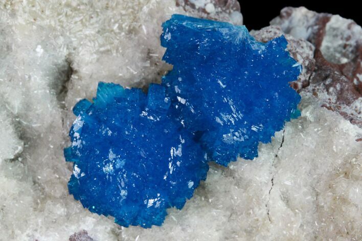 Vibrant Blue Cavansite Clusters on Stilbite - India #168234